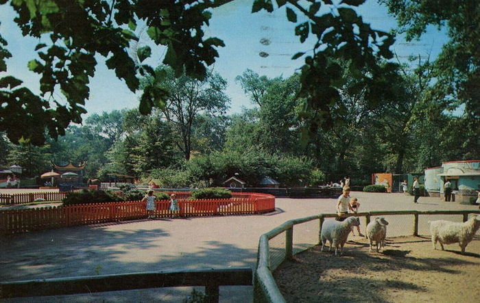 Belle Isle Childrens Zoo - Vintage Postcard